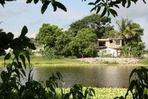 IMG-20180825-WA0007-800x533