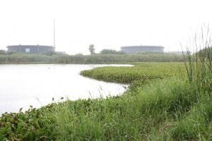 IMG-20180825-WA0009-800x533