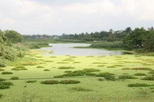 IMG-20180825-WA0010-800x533