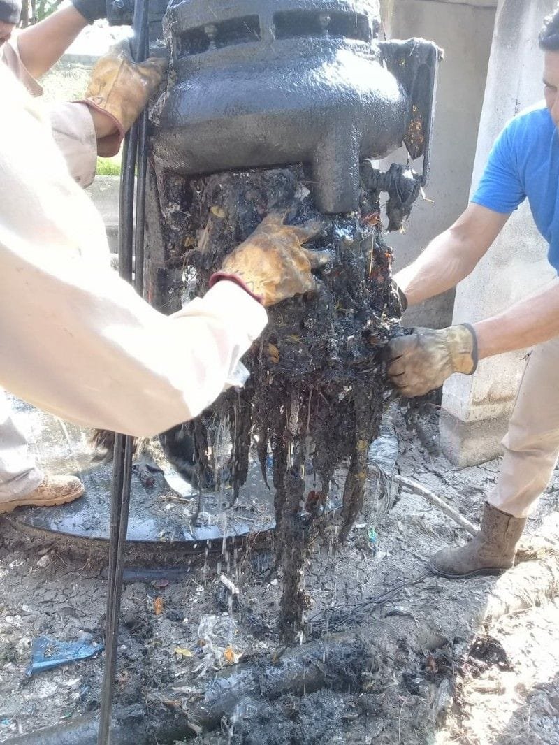 WhatsApp Image 2018-09-12 at 3.54.43 PM (1)-800x1066