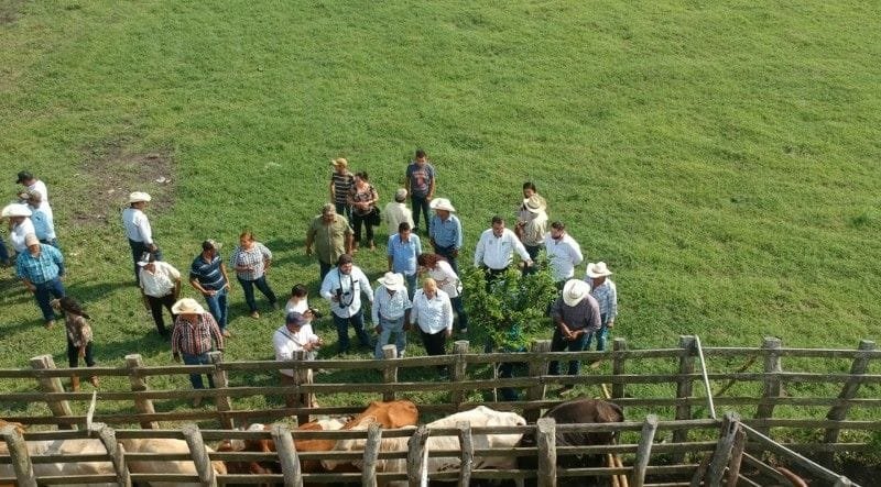 WhatsApp Image 2018-09-22 at 6.45.01 PM (1)-800x443