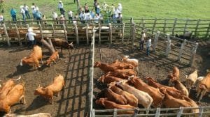 WhatsApp Image 2018-09-22 at 6.45.01 PM-800x448