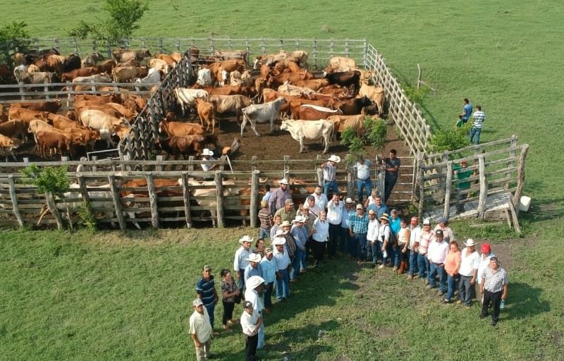 WhatsApp Image 2018-09-22 at 6.59.35 PM-800x512