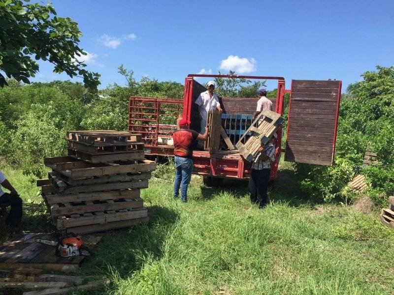 ec807d98-ec8e-42d3-a92e-4c7b07f203a4-800x600