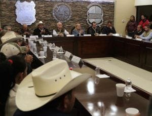 WhatsApp Image 2018-11-15 at 11.32.47 AM (3)-800x611