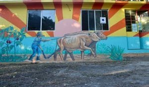 WhatsApp Image 2018-11-29 at 2.19.22 PM-800x468