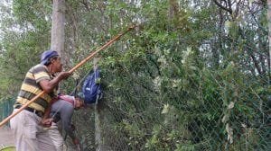 WhatsApp Image 2018-11-29 at 12.05.02 PM (1)-800x449