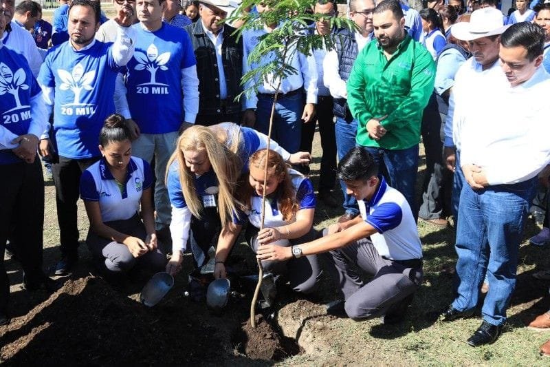 WhatsApp Image 2018-11-30 at 2.14.03 PM-800x533