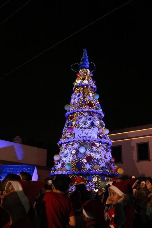 WhatsApp Image 2018-12-06 at 8.02.42 PM (2)-533x800