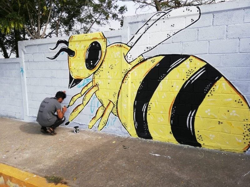 WhatsApp Image 2018-12-08 at 10.41.23 AM-800x600