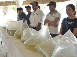 WhatsApp Image 2018-12-25 at 11.56.14 PM (2)-800x595-800x595