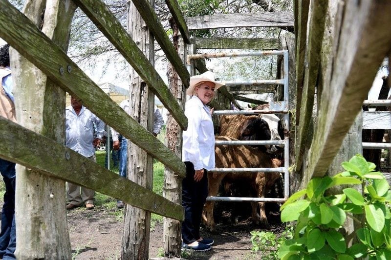 WhatsApp Image 2018-12-25 at 11.56.14 PM (4)-800x533