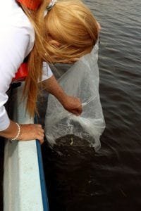 WhatsApp Image 2018-12-25 at 11.56.14 PM-533x800-800x1200