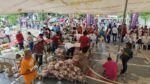 LLEVA ERASMO GONZÁLEZ ROBLEDO SERVICIOS Y APOYOS A FAMILIAS MADERENSES CON UNA NUEVA JORNADA “GOBIERNO EN TU COLONIA”